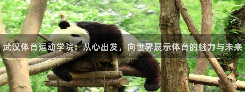 意昂5Kgame平台总代理