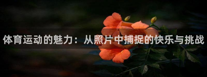 意昂5Kgame2官网