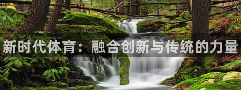 上海意昂5Kgame汽车电子有限公司