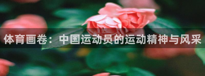 意昂5Kgame体育网页版入口