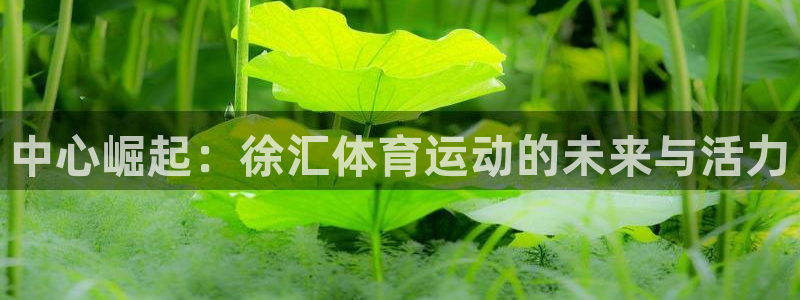 意昂5Kgame平台注册入口
