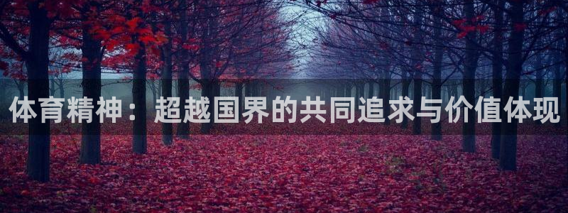 意昂5Kgame体育平台总代理