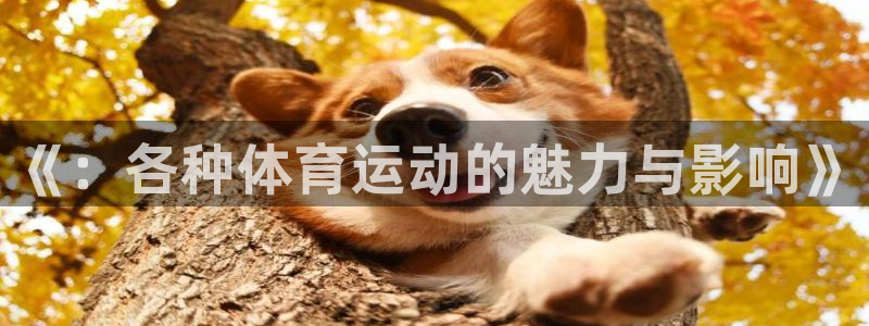 意昂5Kgame平台招商