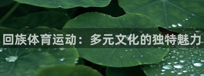 意昂5Kgame体育凯捷平台招商