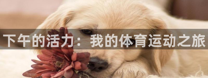 意昂5Kgame2体育登录入口