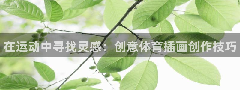 意昂5Kgame体育4