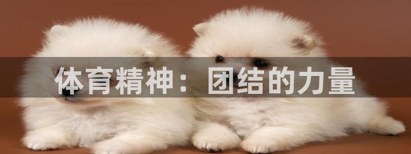 意昂5Kgame2平台登录